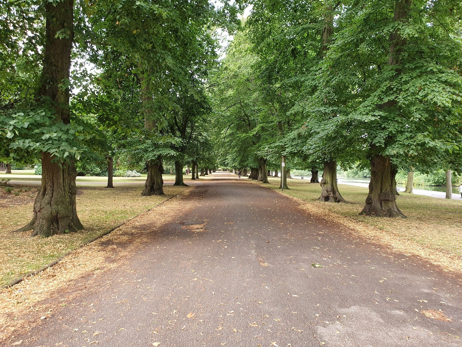 High Lights Festival brings Hybrid Minds to Barking Park this May