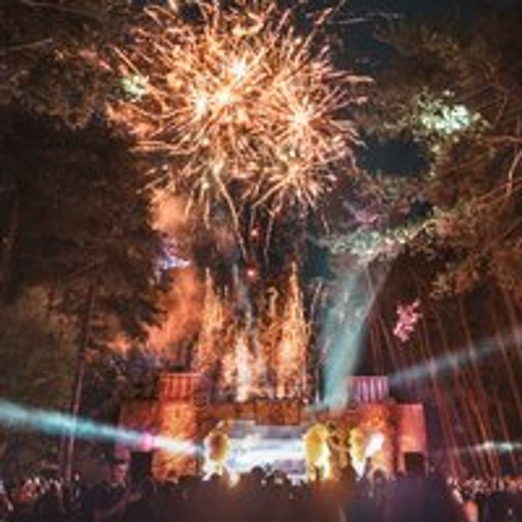 Restricted Forest 2027: Liverpool's woodland dance festival