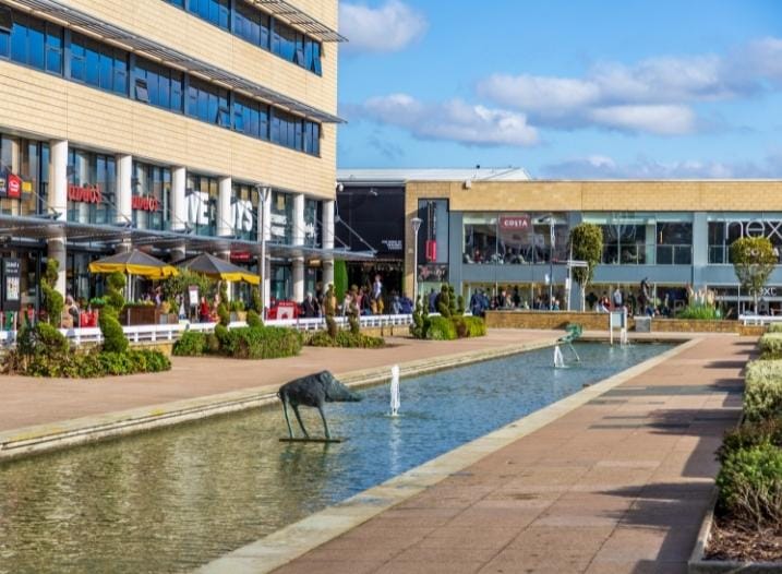 Best Days Out With Kids in Essex (2026)