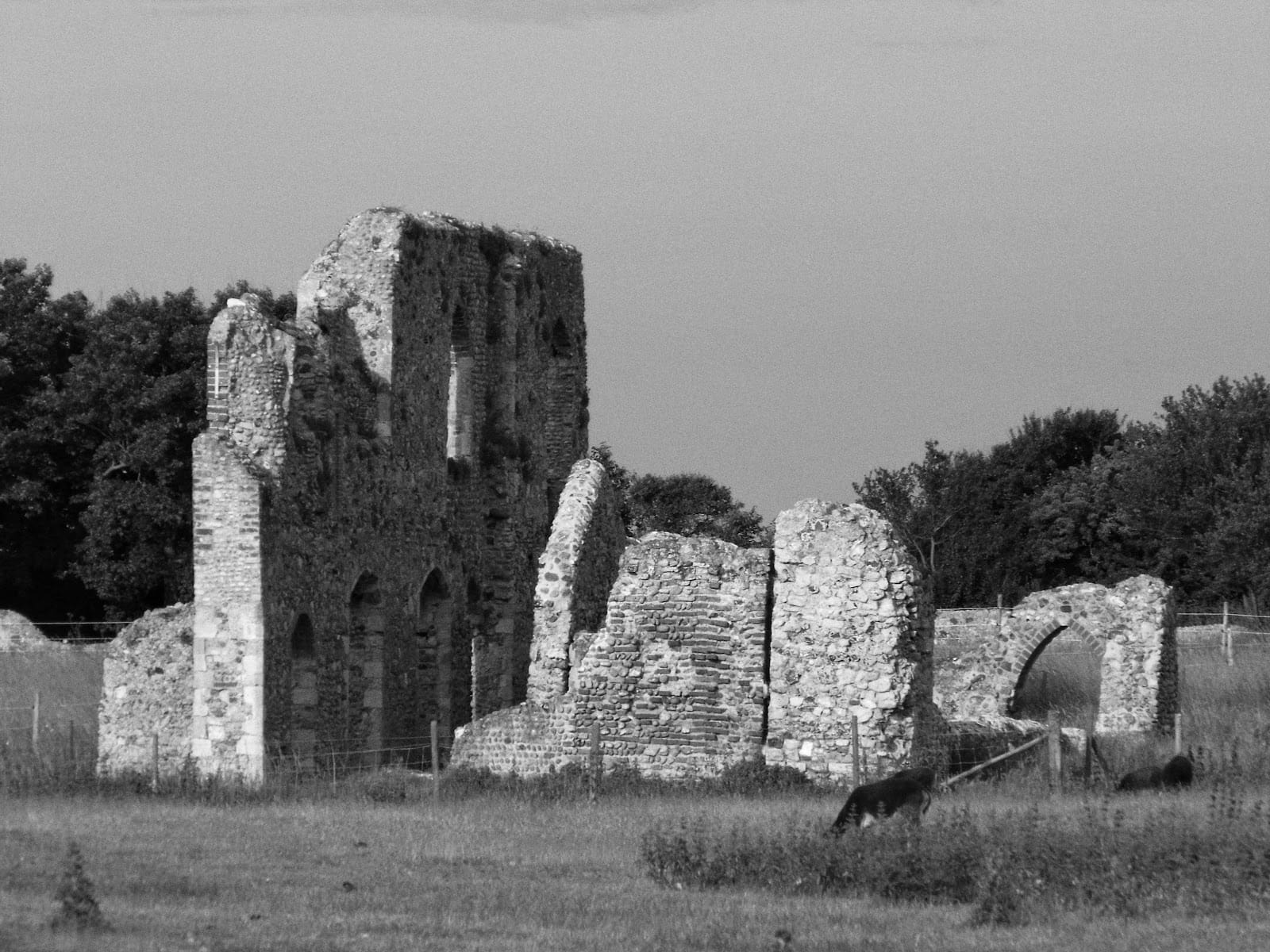 Best Family Days Out in Suffolk (2026)