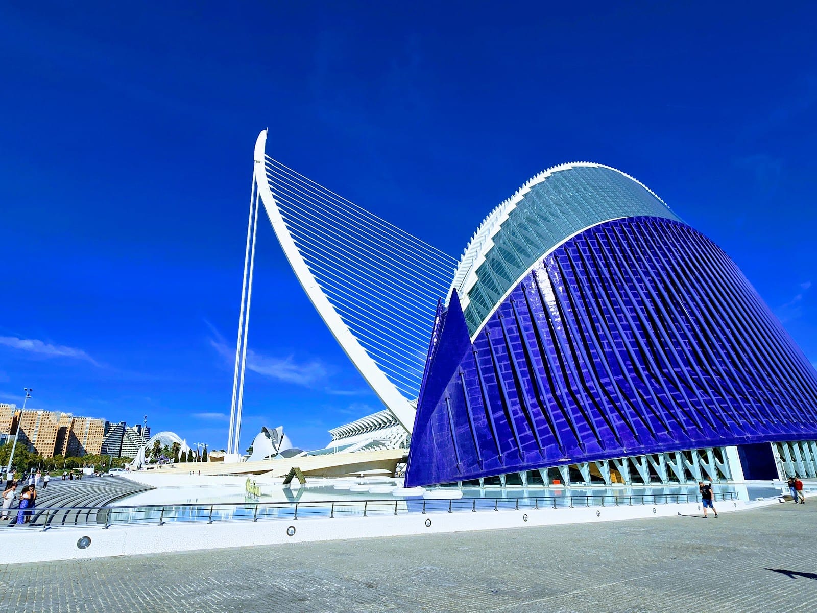 Oceanogràfic València Tickets: What to Know Before You Go