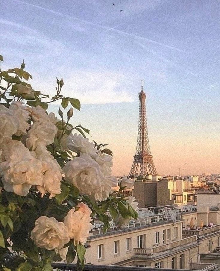 Return flights to Paris from Manchester, just £35