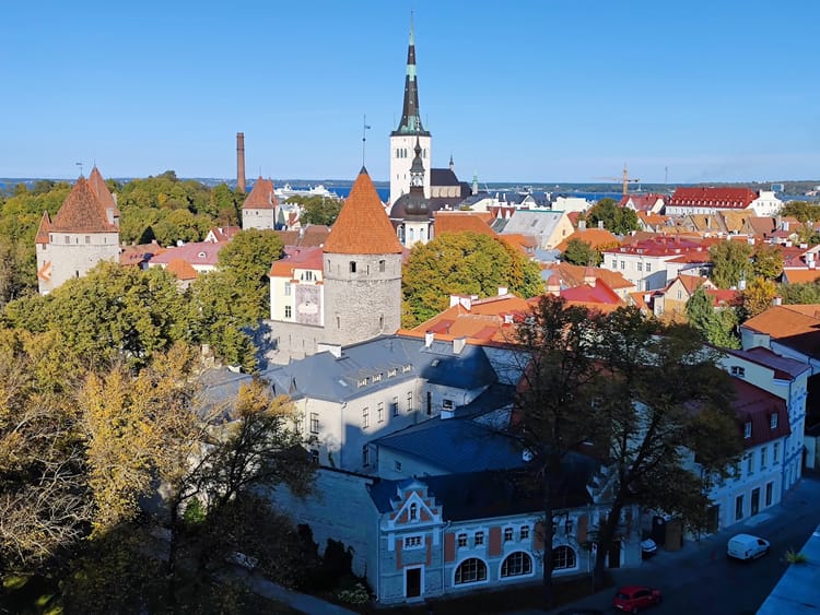 Tallinn Christmas Market: medieval old town + the world's oldest