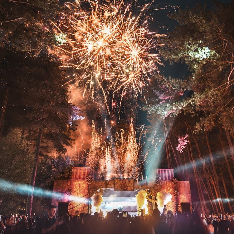 Restricted Forest 2026: Liverpool's woodland dance festival