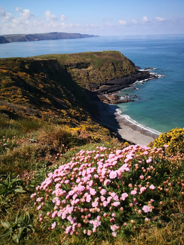 Best Family Days Out in Devon (2026 Guide)