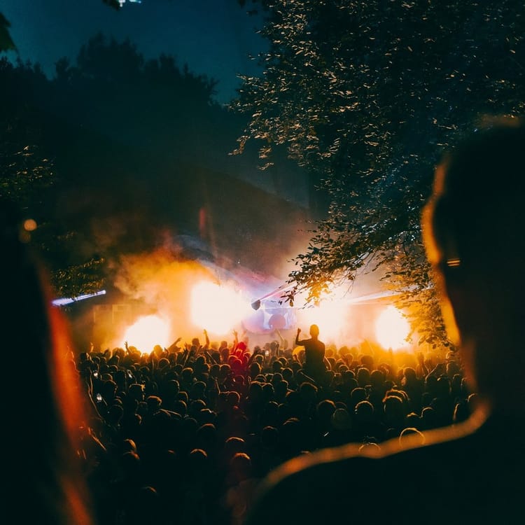 Hifields 2026 brings 12-hour woodland rave to Cambridge