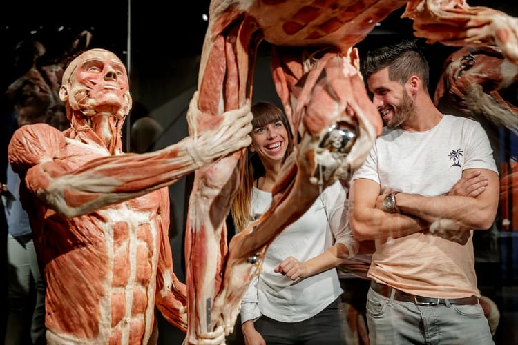 Body Worlds Amsterdam Tickets: What to Know Before You Go